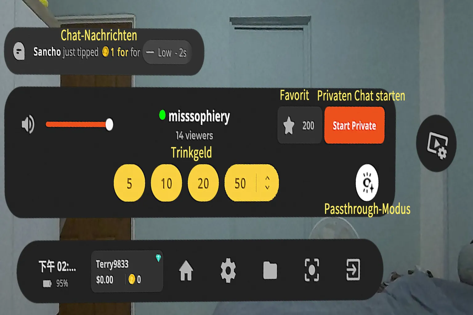 SLR-Livestream-Oberfläche mit Optionen für Trinkgeldbeträge und Send-Buttons.