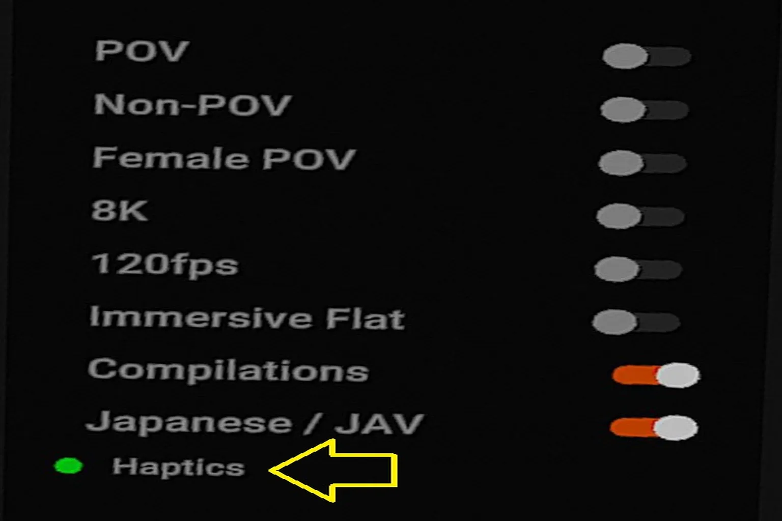 DeoVR Filtermenü mit aktivierter Haptics-Option für Videos mit Script-Unterstützung.