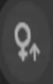 SLR-Plattform-Icon für Female POV. Es zeigt an, dass das Video aus der weiblichen Ich-Perspektive aufgenommen wurde und sich für weibliche Zuschauer oder Fans von Reverse POV eignet.