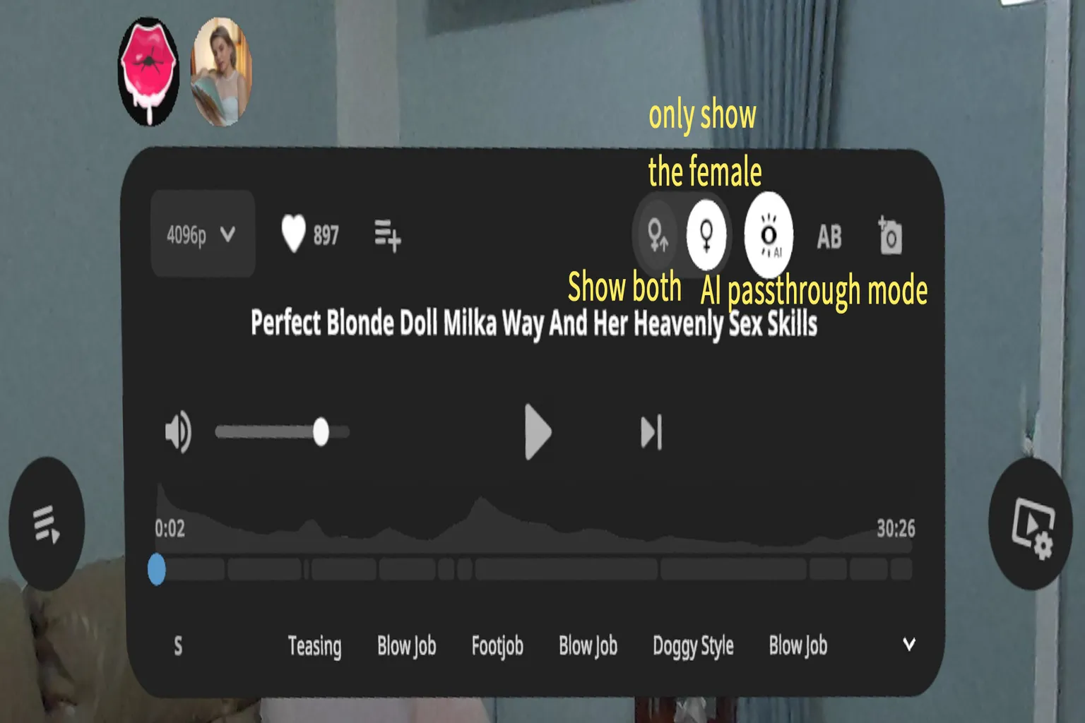 SLR player top-right function bar, allowing you to switch modes such as AI Mask and gender display.