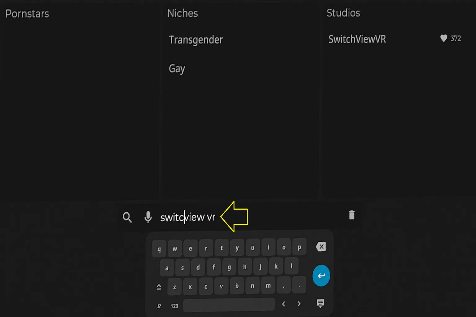 SLR 搜尋錯字示範,輸入 switcview 仍能成功找到片商 Switchview VR,展示搜尋容錯能力。